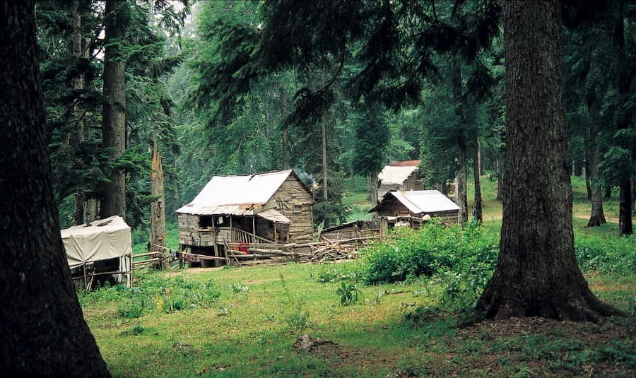 Bolu Kamp Alanları - Sinekli Yaylası Kamp Alanı 