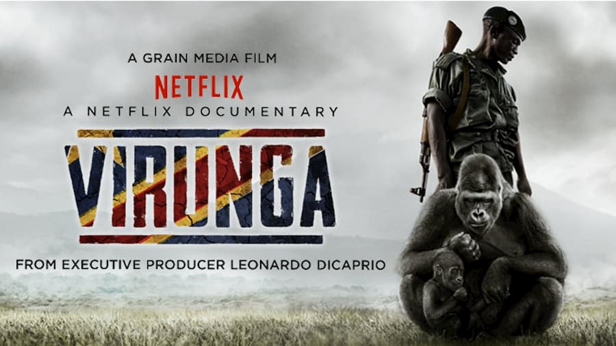 Netflix'in En İyi 15 Doğa Dizi/Film Yapımları - Virunga