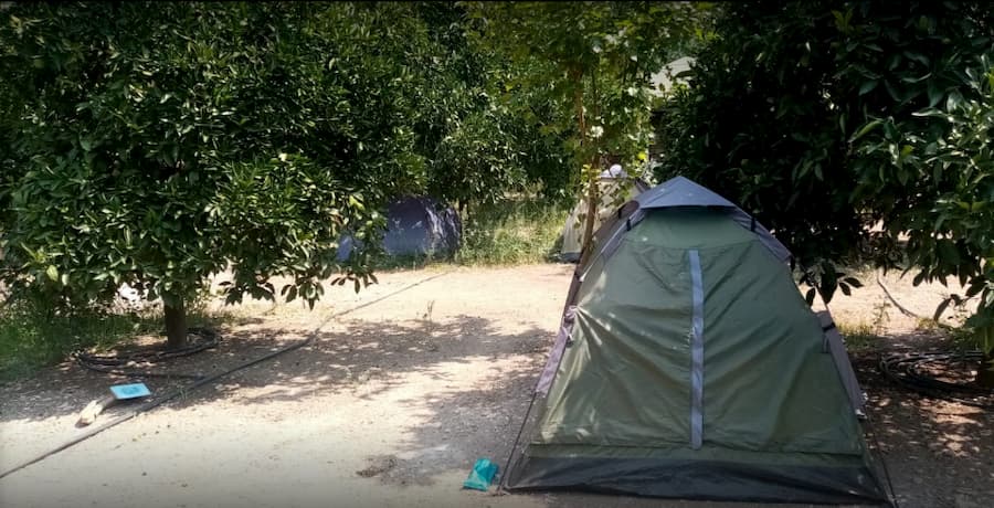 Olimpos Kamp Alanları - Olimpos Keçi Camping  