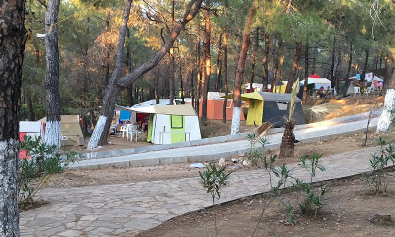 İzmir Kamp Alanları - Kalemlik Orman Kampı