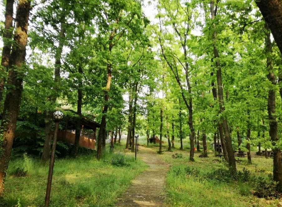 Sakarya Kamp Alanları - İl Orman Tabiat Parkı Kamp Alanı