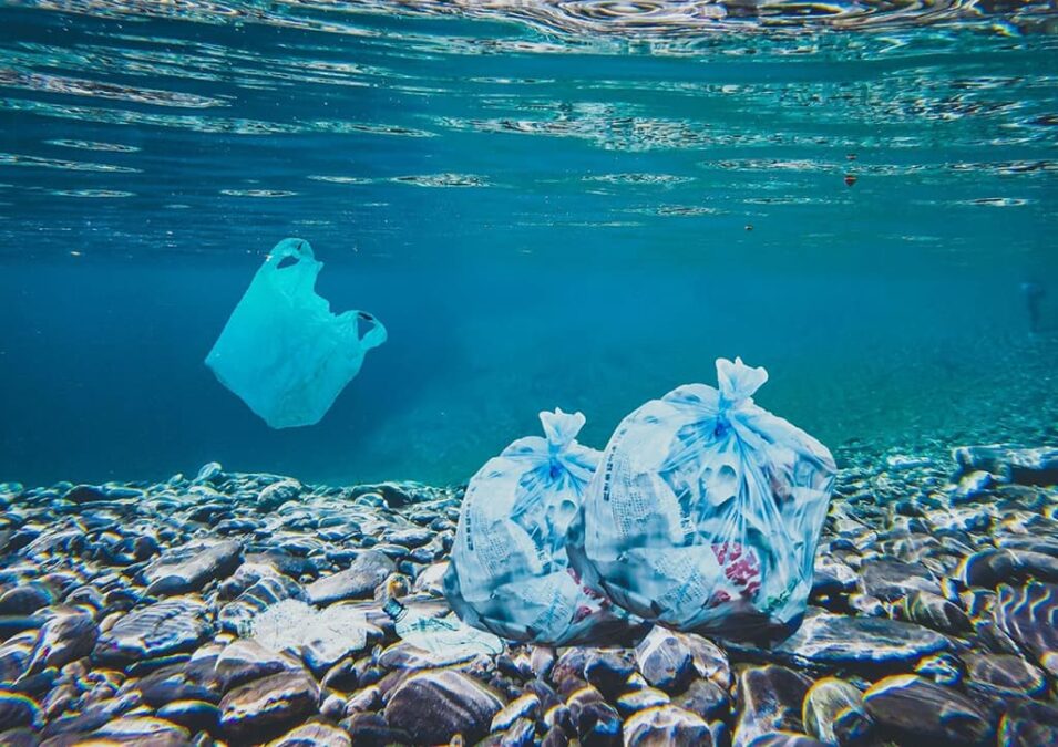 Denizlerdeki çöp ve plastik atıklar
