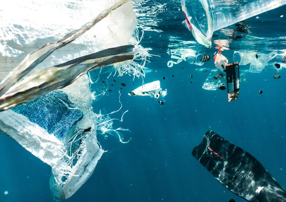 Yedinci kıtayı oluşturan plastik atıklar
